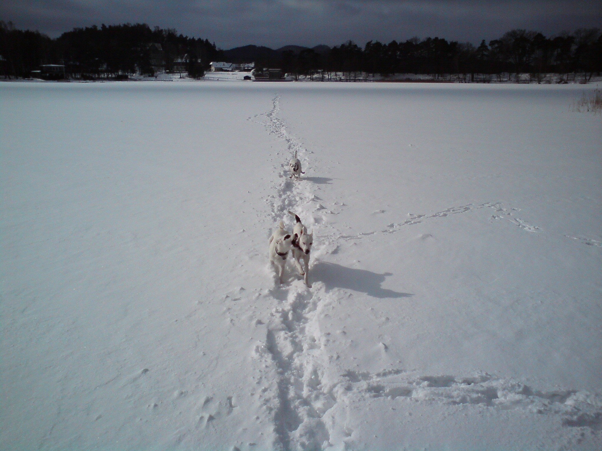 DSC00400.JPG