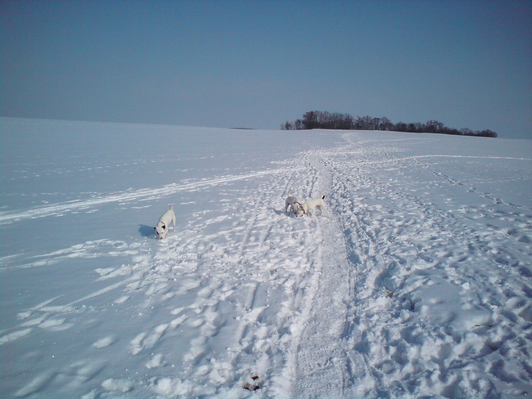 DSC00401.JPG