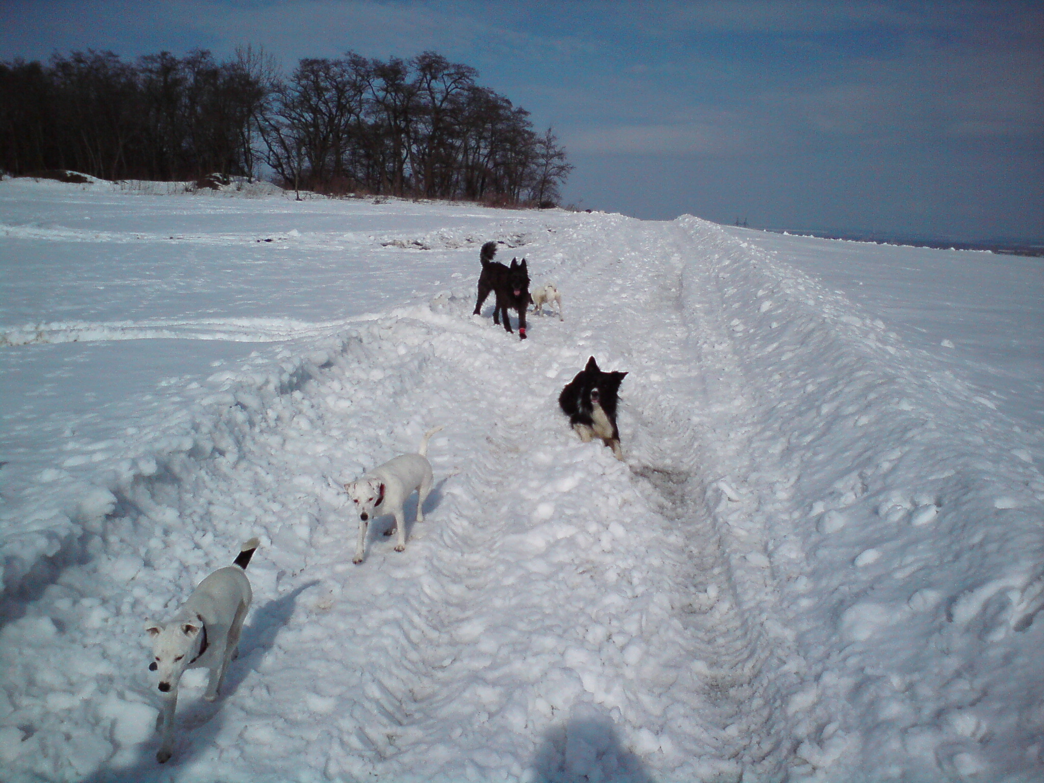 DSC00417.JPG