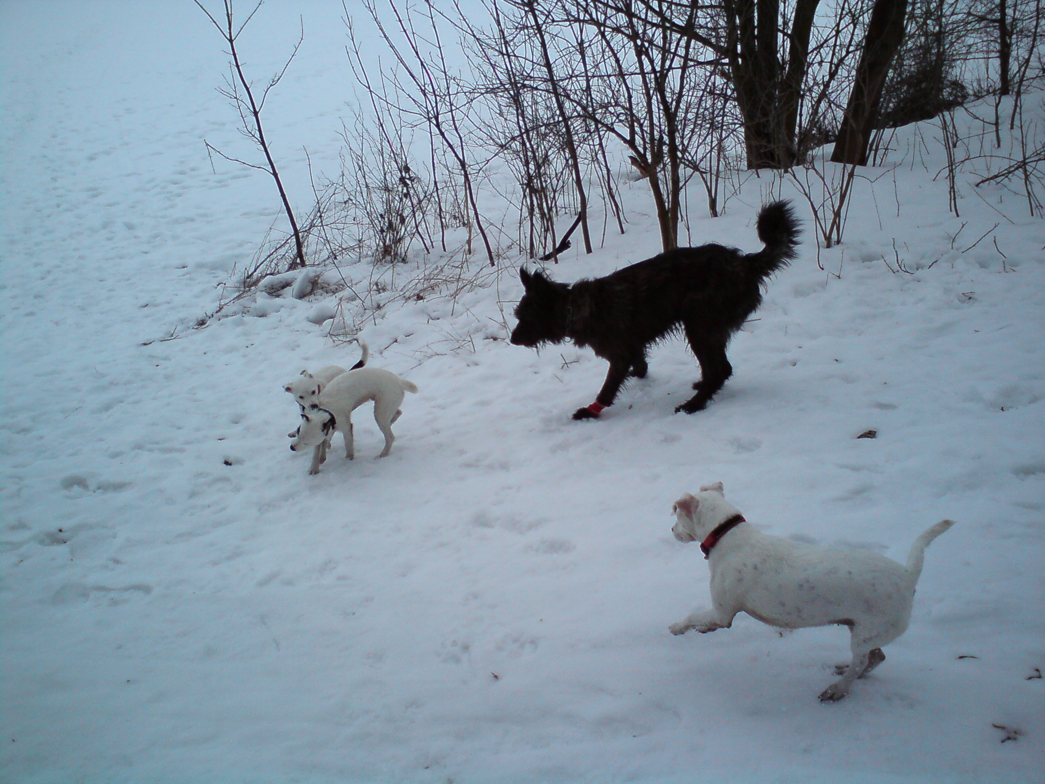 DSC00424.JPG